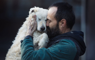 Guide to service animals for Arizona landlords