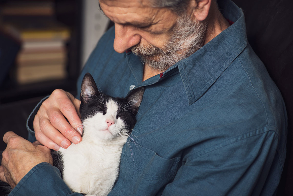 Emotional Support Animals in Arizona